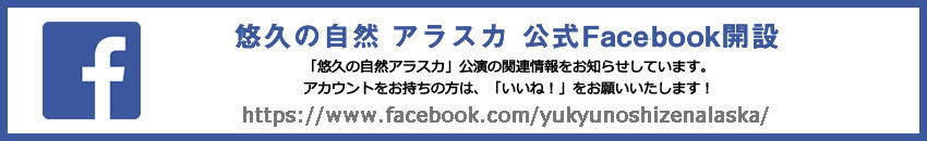 悠久の自然 アラスカ公式Faceebook開設